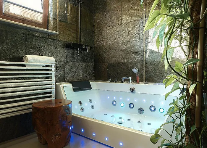 Apartament Rykowisko