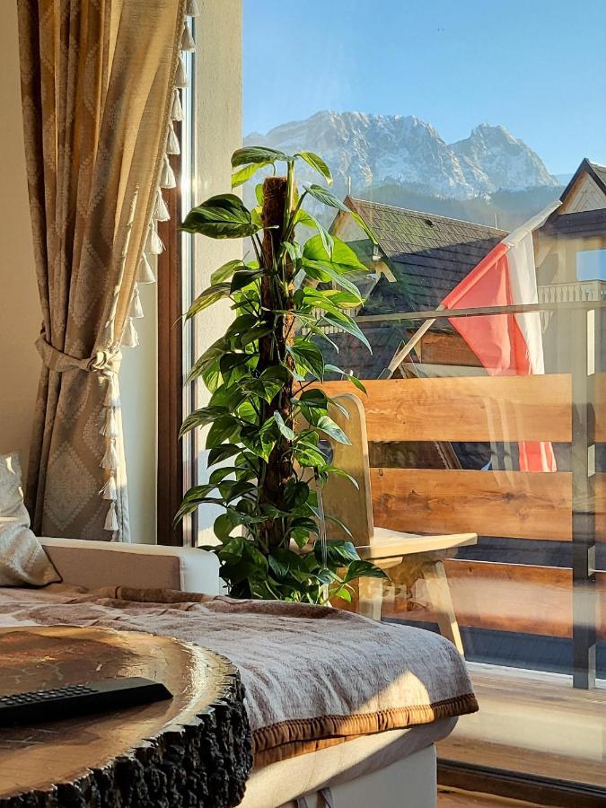 Rykowisko Zakopane